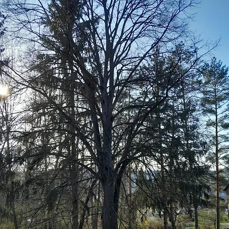 Appartement Tilia Haz Salgótarján