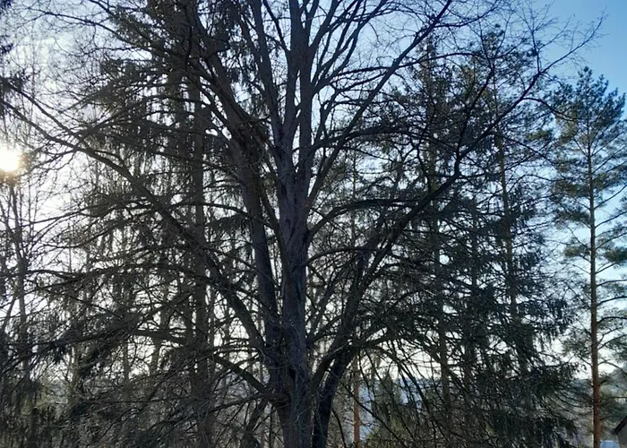 Apartment Tilia Haz Salgotarjan