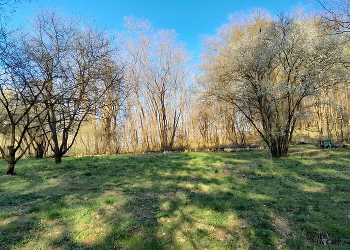 Apartment Tilia Haz *