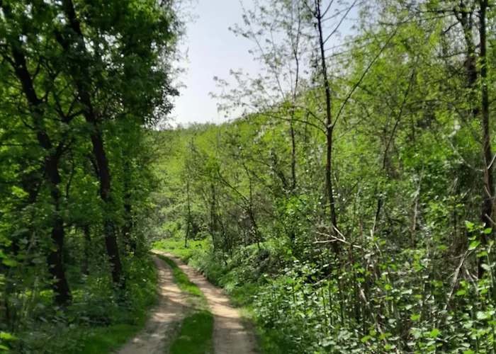 Tilia Haz Salgotarjan