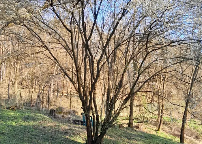 Tilia Haz Salgotarjan