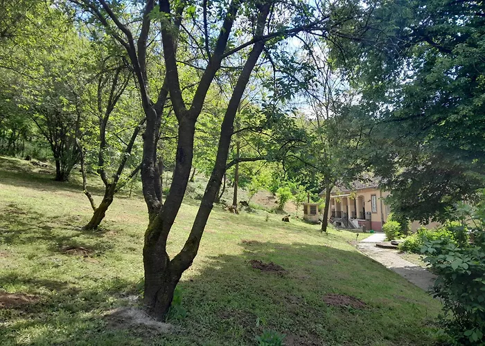 Tilia Haz Apartament
